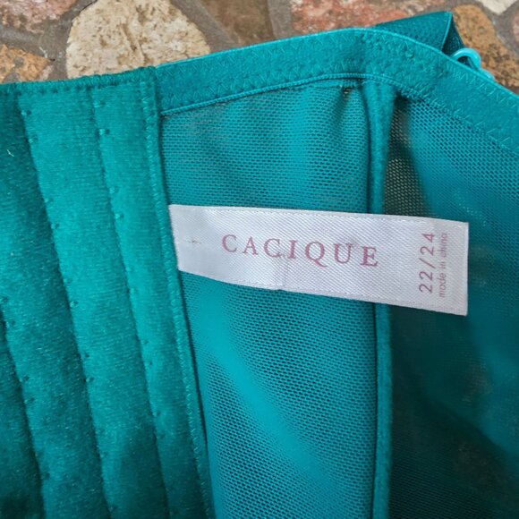 Cacique Teal Green Snake Print Corset Bra, Long, Bow Accent, Size 22/24 - Picture 5 of 8